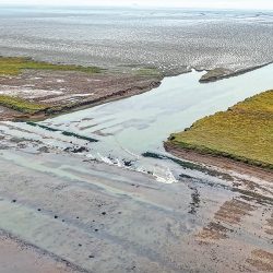 Breaching the existing embankment to enable controlled tidal ingress facing the Humber Estuary - Courtesy of JBA Bentley