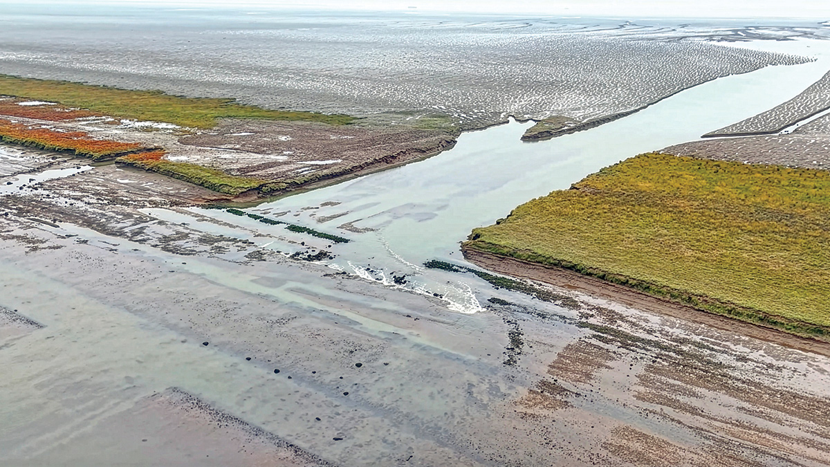 Breaching the existing embankment to enable controlled tidal ingress facing the Humber Estuary - Courtesy of JBA Bentley