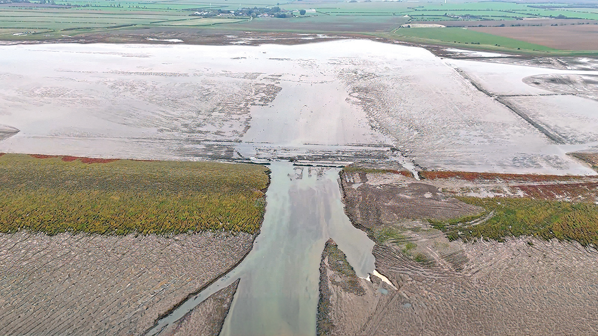 Breach facing the intertidal habitat and set back embankment - Courtesy of JBA Bentley