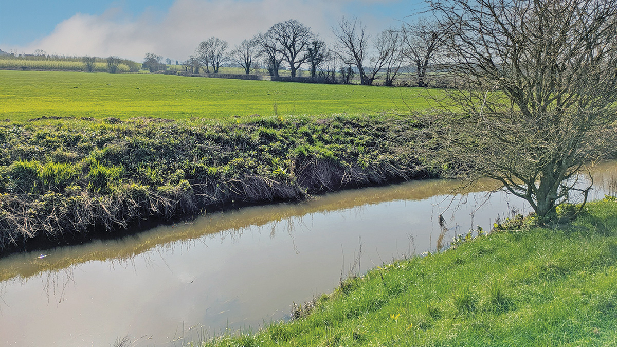 Location of new outfall into River Strine - Courtesy of David Naismith