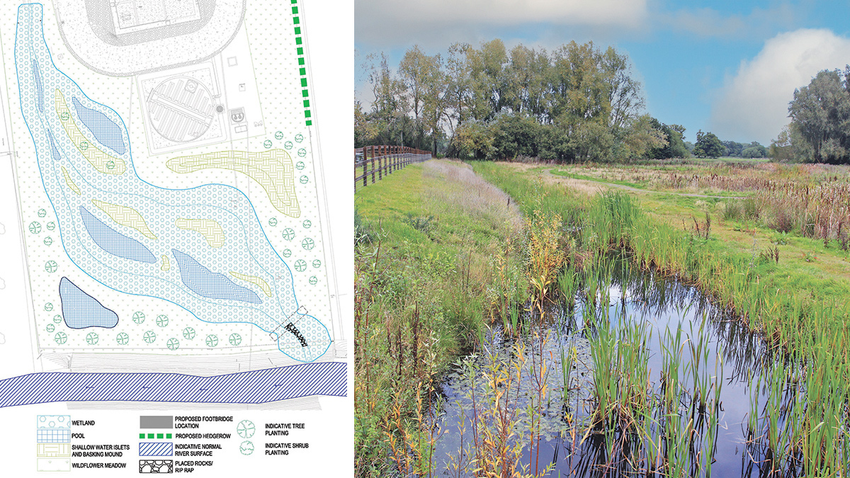 (left) Simplified arrangement of the green outfall - Courtesy of Mott MacDonald and (right) example of an established wildlife pond - Courtesy of David Naismith