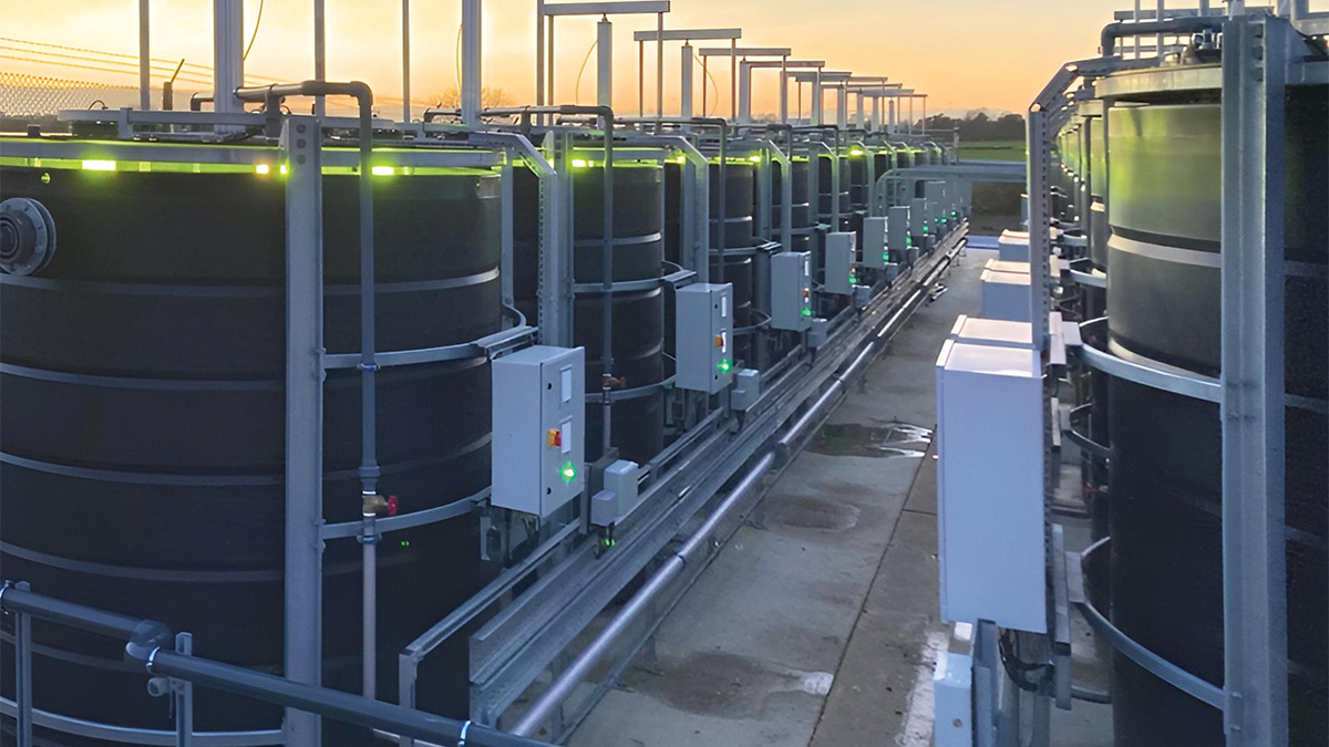 Thurleigh WRC I‑Phyc plant - Courtesy of @one Alliance