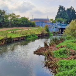 Hardham WSW - Courtesy of Trant Engineering