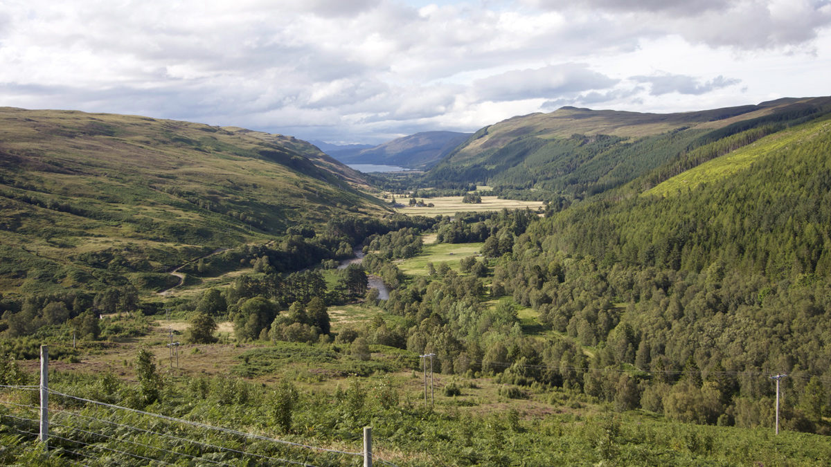 Courtesy of Gilbert Gilkes & Gordon Ltd