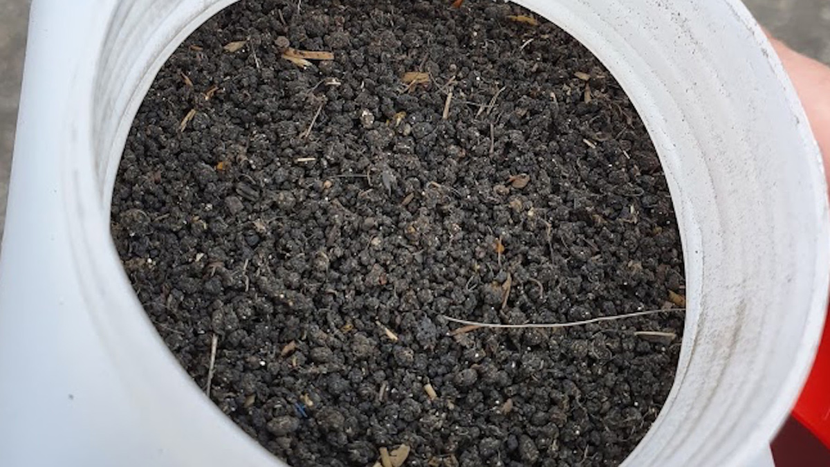 Dry sludge sample, dried with belt dryer – Courtesy of Eliquo Stulz